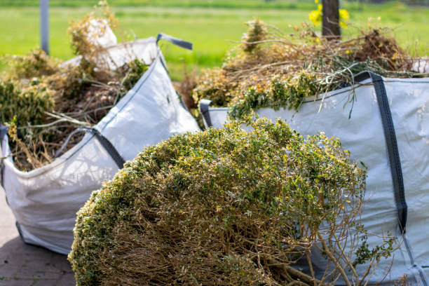 Best Appliance Removal Near Me  in Frankfort, IL
